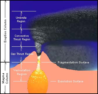 Cross-sectional model of a Plinian Eruption