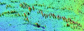 The Foundation seamount chain is located near Easter Island in the south Pacific. Courtesy of NOAA.
