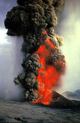 Image Described in Caption