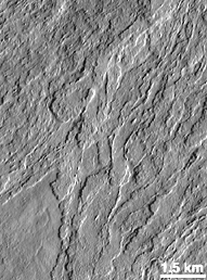 The flanks of Olympus Mon